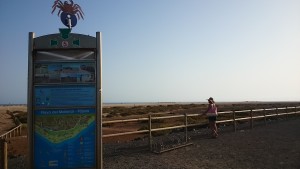 Playa del Mattoral fuerteventura